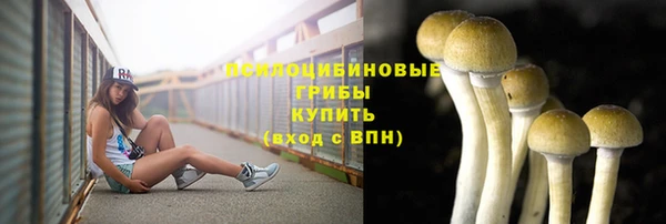 ALPHA PVP Алексин